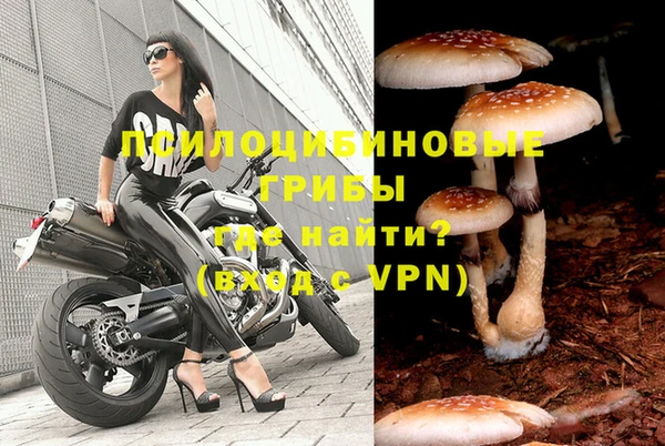 PSILOCYBIN Белоозёрский